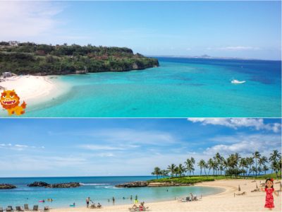 沖縄とハワイの比較