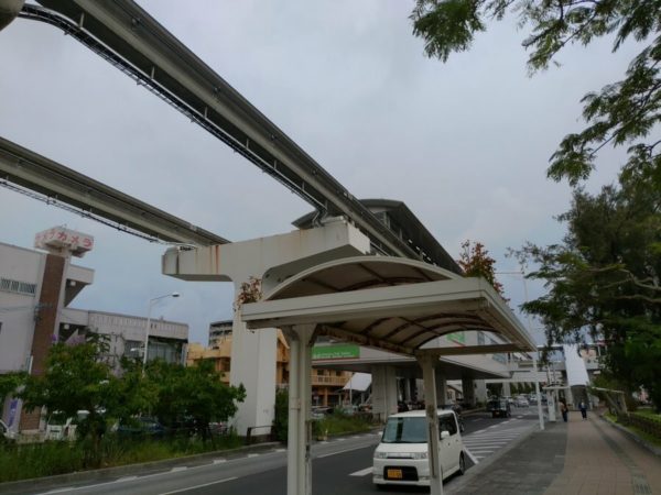 バス停の屋根に根を生やす花